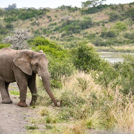 The Springbok Lodge レディスミス エクステリア 写真