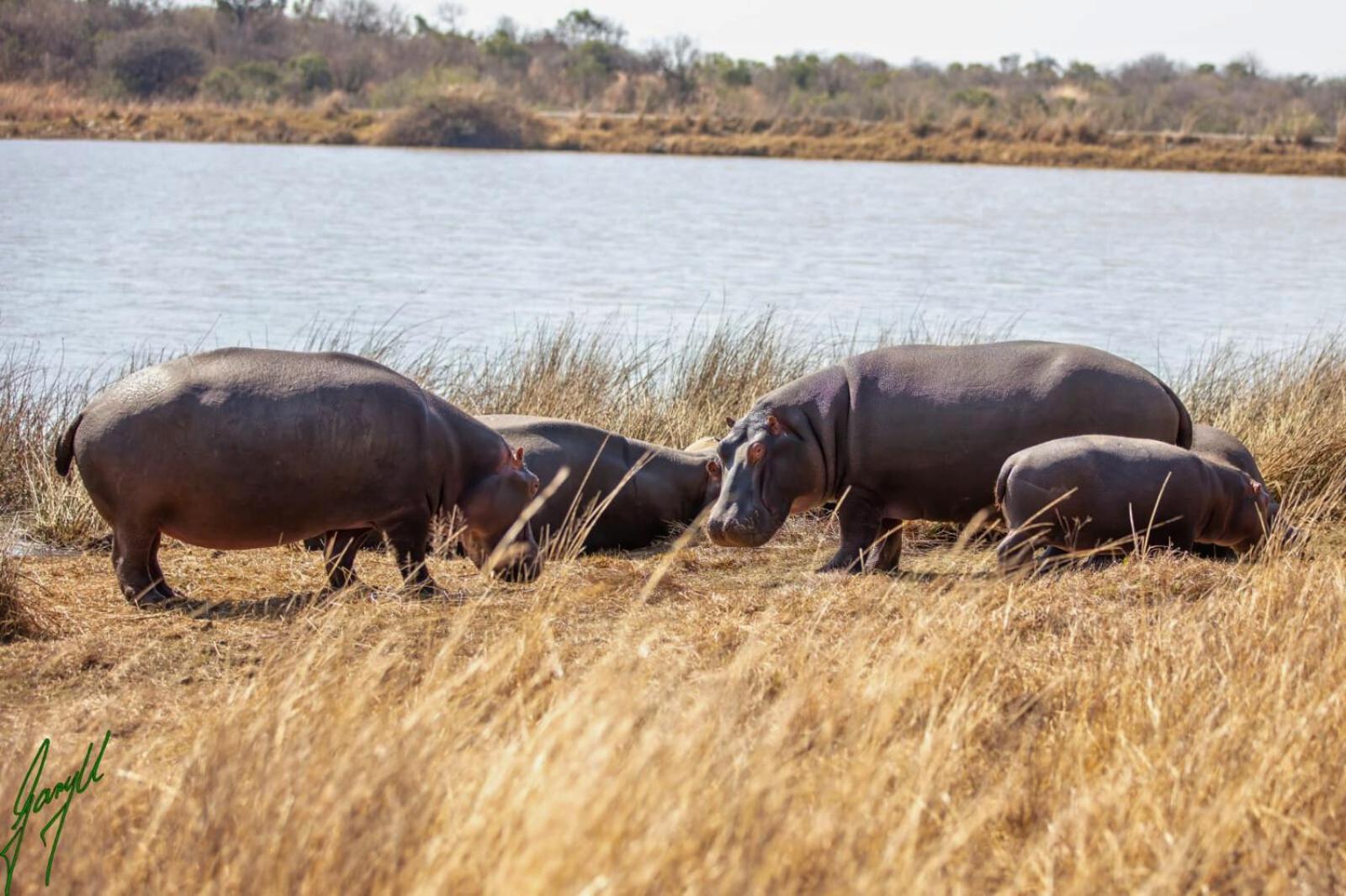 The Springbok Lodge レディスミス エクステリア 写真