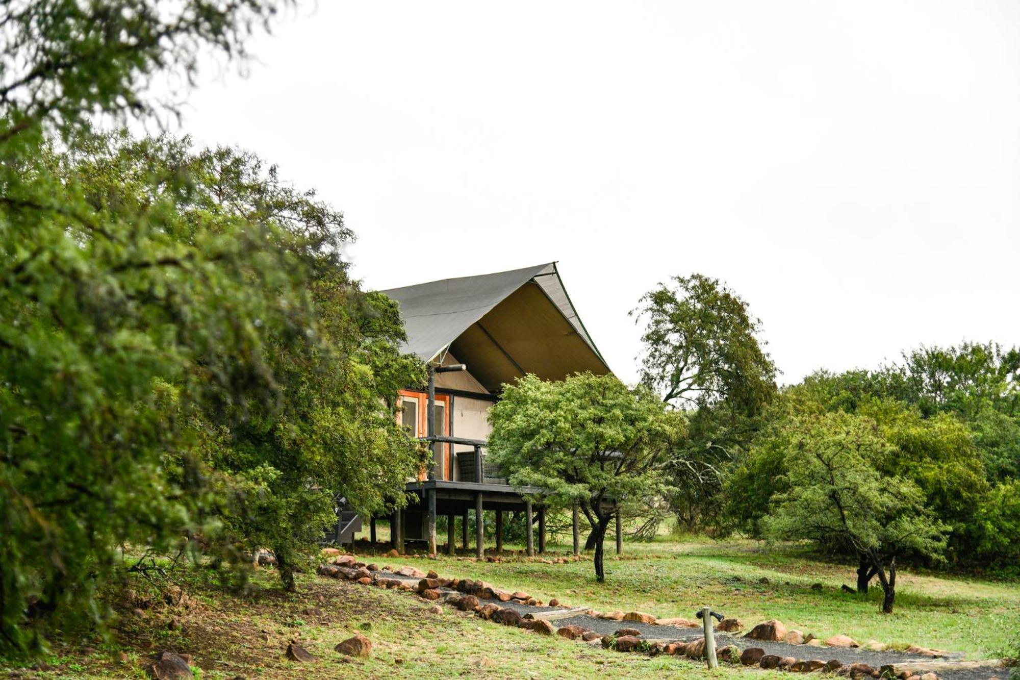 The Springbok Lodge レディスミス エクステリア 写真